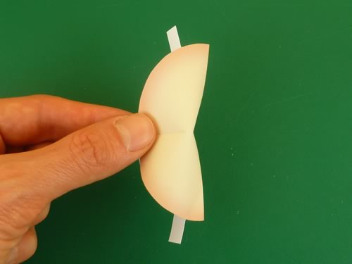Origami Fortune Cookie
