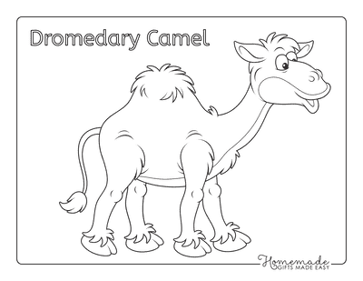Animal Coloring Pages Camel
