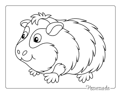 Animal Coloring Pages Cute Guinea Pig