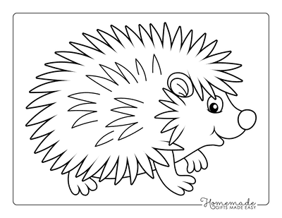 Animal Coloring Pages Cute Hedgehog