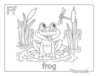 Animal Coloring Pages Frog Dragonfly