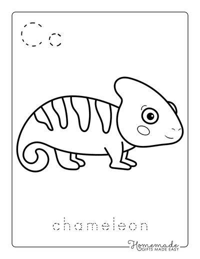 Zoo Animals - Best New Animals Coloring Books: 100 Coloring Pages