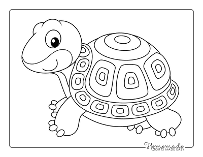 Animal Coloring Pages Tortoise