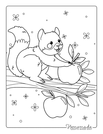 Apple Coloring Pages Cute Squirrel Picking Apples