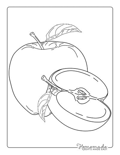 Apple Coloring Pages Realistic Apples to Color for Adults