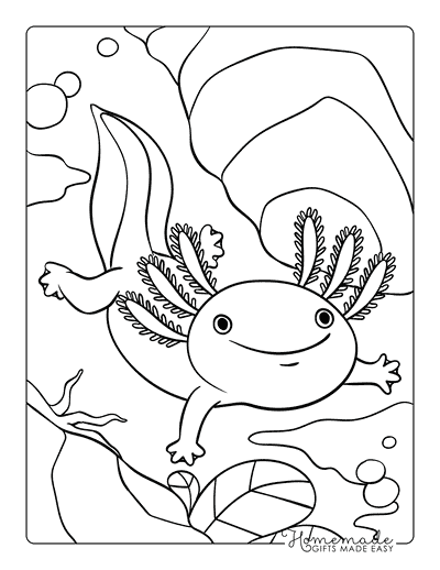 Axolotl Coloring Pages Cute Axolotl Drawing Swimming Under Water