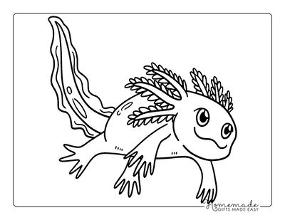 Axolotl Coloring Pages Cute Kawaii Anime Axolotl Drawing
