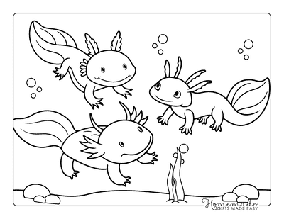 Axolotl Coloring Pages Easy Cute Axolotl Friends