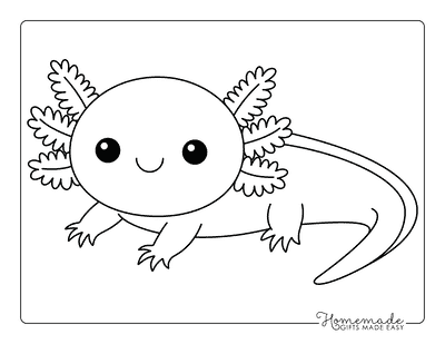 Axolotl Coloring Pages Easy Cute Baby Axolotl Drawing Outline