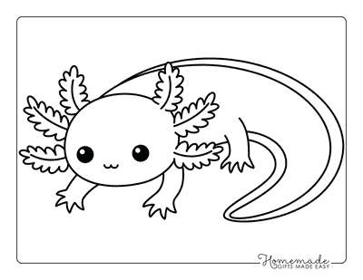 Axolotl Coloring Pages Easy Cute Kawaii Adorable Axolotl Outline