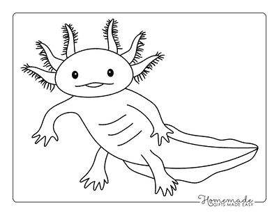 Axolotl Coloring Pages Easy Cute Realistic Axolotl Drawing Outline