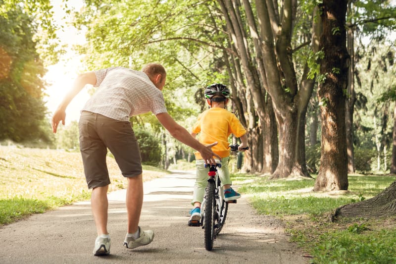 bible verses about fathers