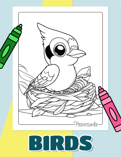 Bird Coloring Pages