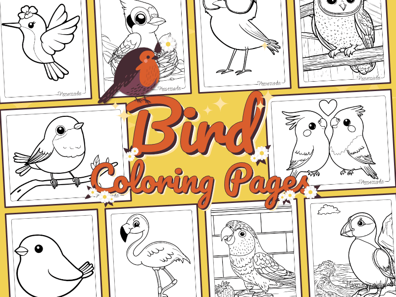 Free Printable Bird Coloring Pages