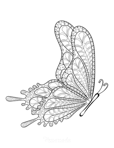 Butterfly Coloring Pages Detailed Pattern Flying Side View Adults