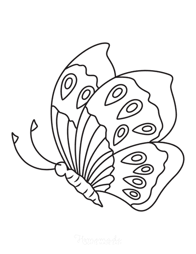Butterfly Coloring Pages Eye Spots Side View