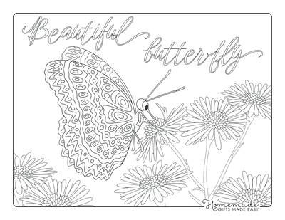 Butterfly Coloring Pages Feeding From Flower
