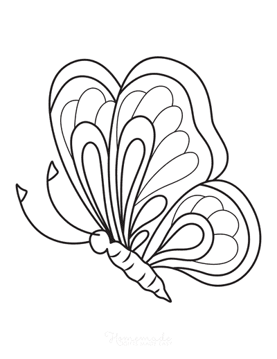 Butterfly Coloring Pages Layers Side View