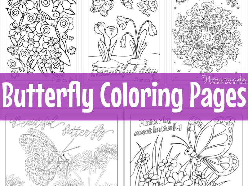 Butterfly Coloring Pages
