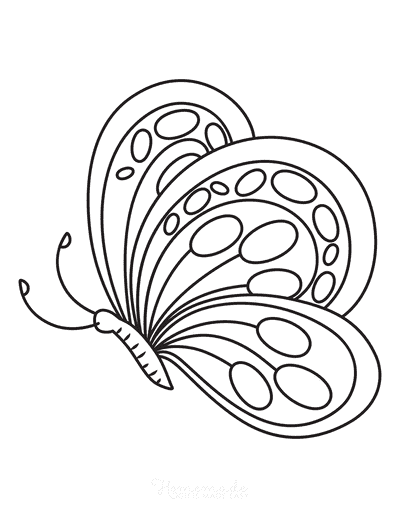 Butterfly Coloring Pages Rounded Side View