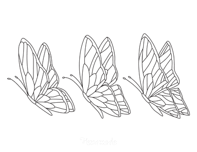 Butterfly Coloring Pages Set 3