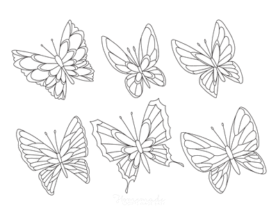 Butterfly Coloring Pages Set 6