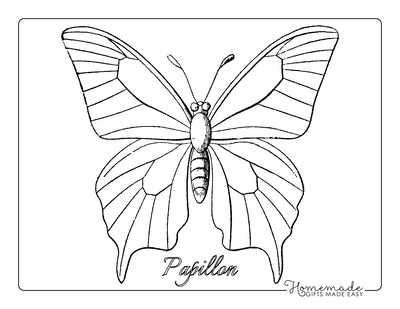 Butterfly Coloring Pages Sketch Patterned Wings