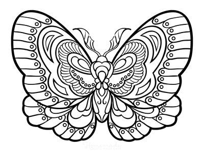Butterfly Coloring Pages Stylized Intricate Patterned Wings