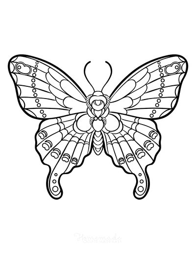 Free Butterfly Coloring Pages for Kids & Adults