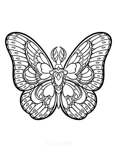 Butterfly Coloring Pages Sylized Patterned Wings Feather Antennae