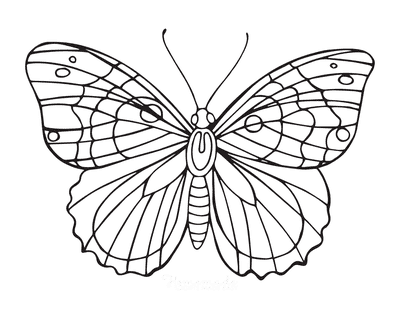 Butterfly Coloring Pages Wing Veins Outline