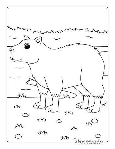 Capybara Coloring Pages Easy Cute Capybara Drawing by Water