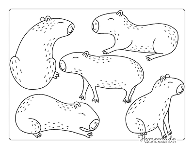 Capybara Coloring Pages Easy Cute Capybara Friends to Color