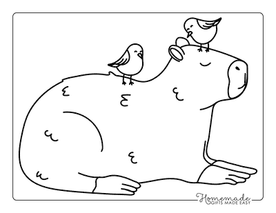Capybara Coloring Pages Easy Cute Capybara With Birds