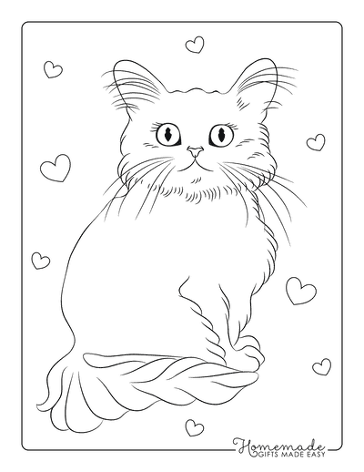 Cat Coloring Pages Cat Outline Fluffy