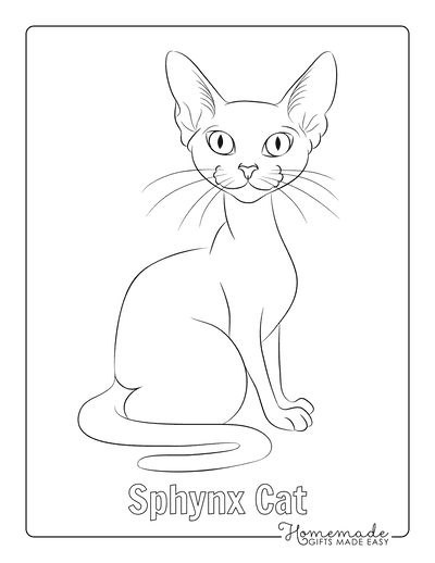 Cat Coloring Pages Sphynx Cat Outline