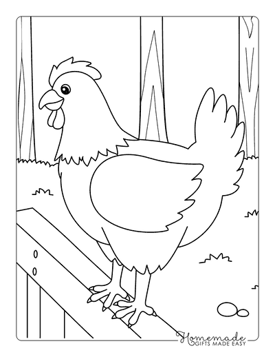 Chicken Coloring Pages Cute Hen Chicken on Fence for Kids to Color