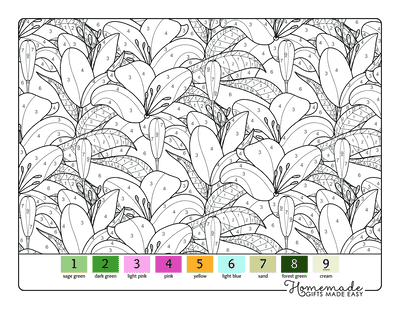 Color by Number for Adults Lillies Floral Pattern