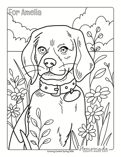 Coloring Contest Spring 2026 Prize Coloring Page Amelia Beagle
