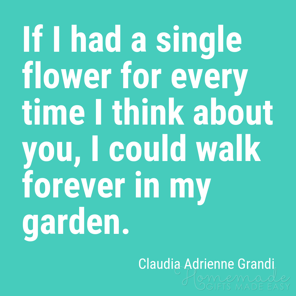 cute boyfriend quotes a flower for every time think about you