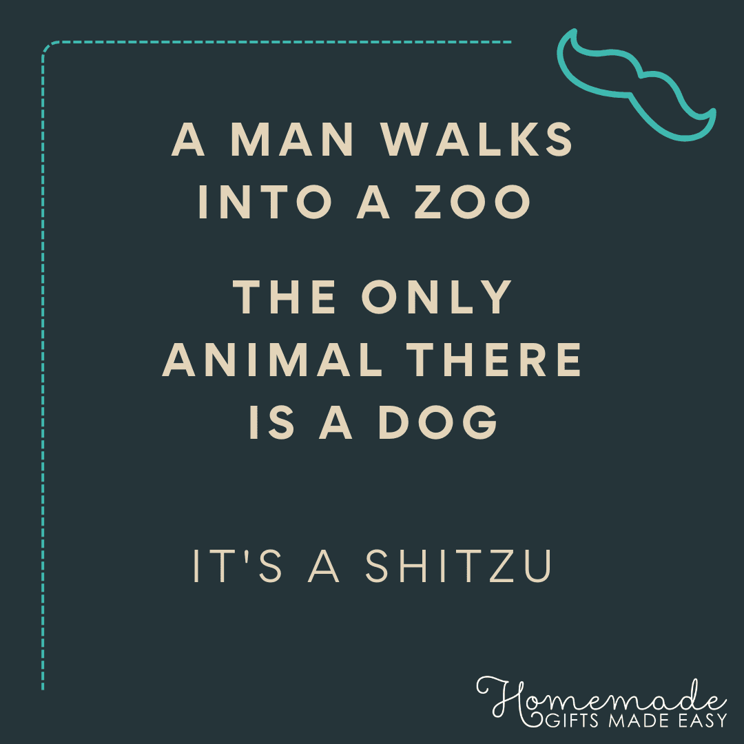 dad joke witty cool dad a man walks into a zoo