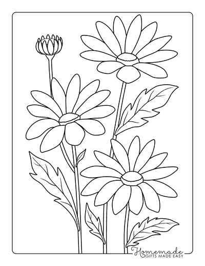 Daisy Coloring Pages 4 Cute Easy Realistic Daisies