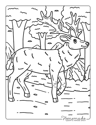 Deer Coloring Pages Easy Happy Elk Wandering the Forest