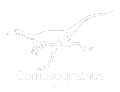 Dinosaur Coloring Pages Compsognathus Tracing Picture