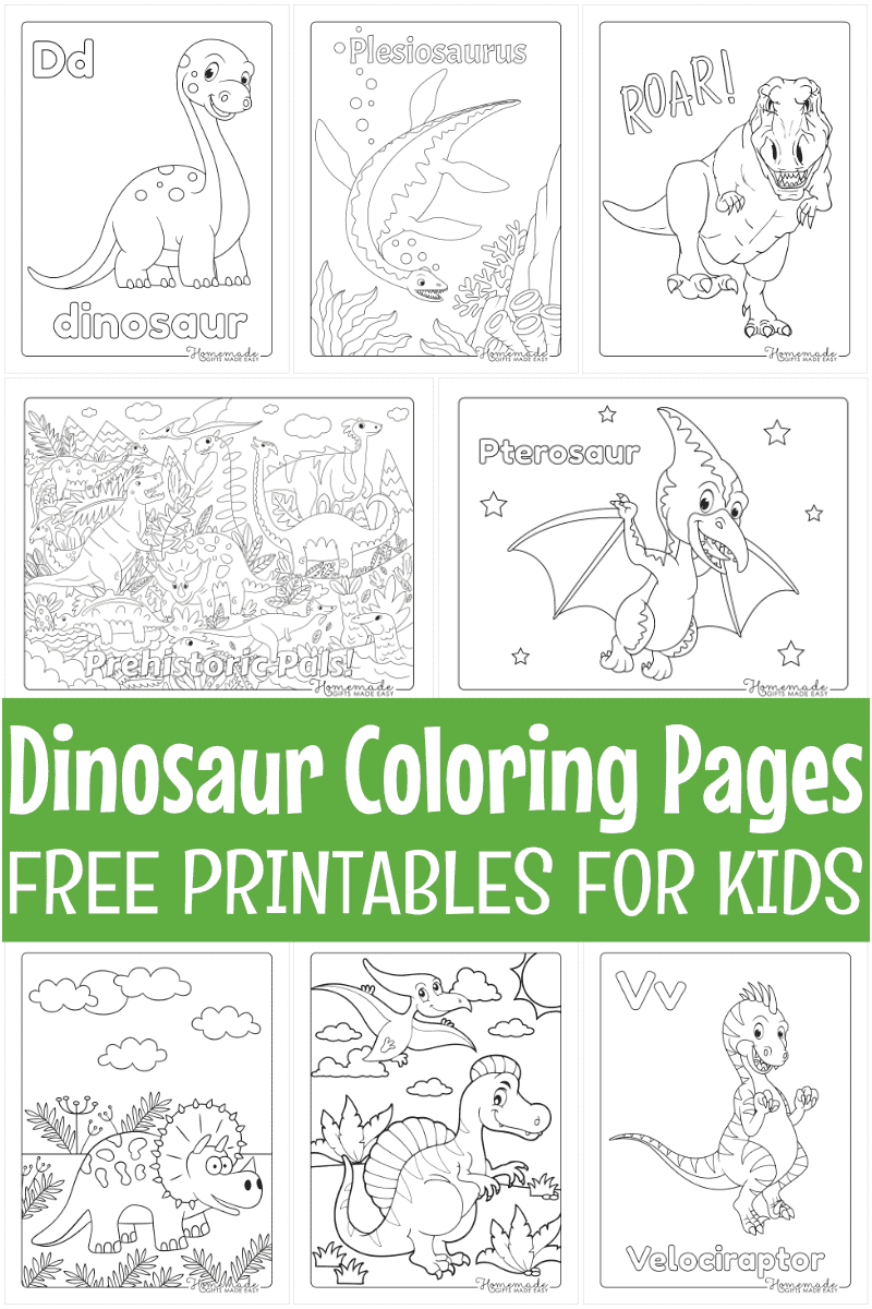 Animal Coloring Pages (jumbo Coloring Book For Kids) - By Speedy