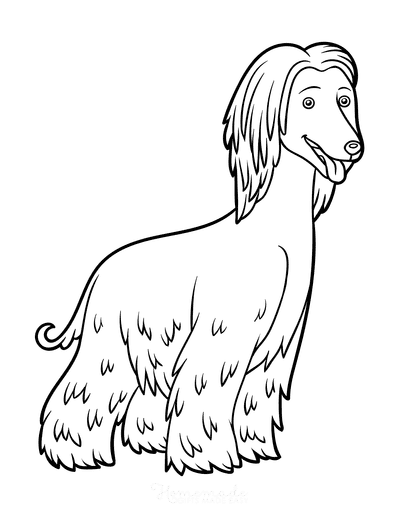 Dog Coloring Pages Afghan Hound Outline