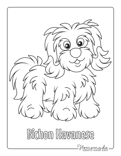Dog Coloring Pages Bichon Havanese Cute Outline