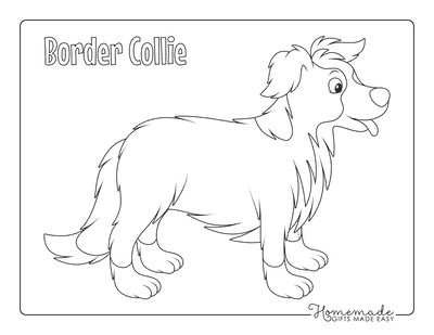 Dog Coloring Pages Border Collie Outline