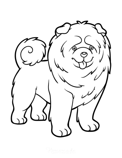 Dog Coloring Pages Chow Chow Curled Tail Outline
