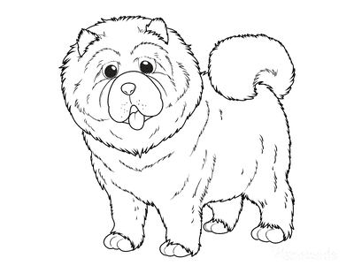 Dog Coloring Pages Chow Chow Outline